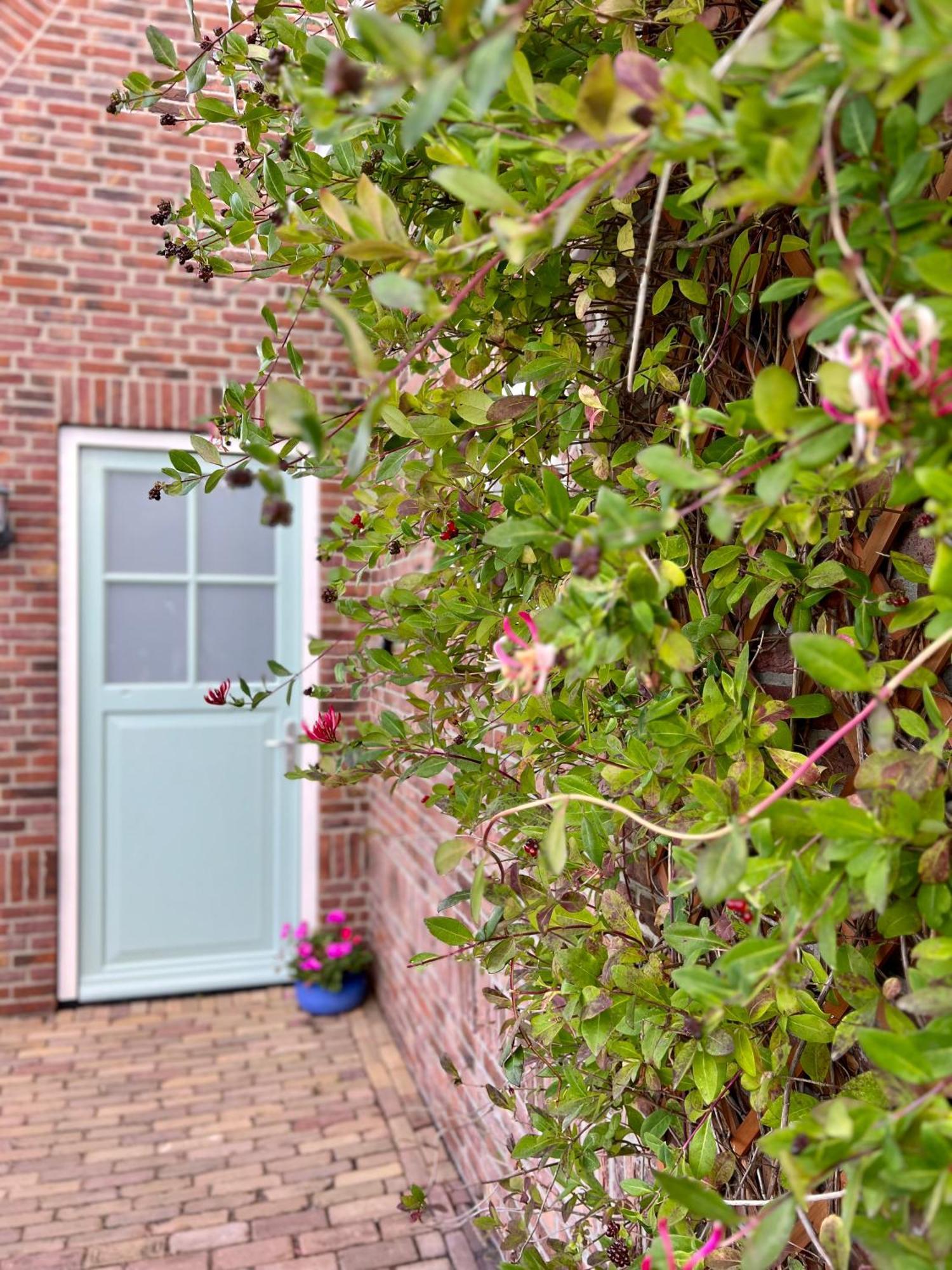 Beach & Forest Retreat -Domburg- Oostkapelle Exterior photo